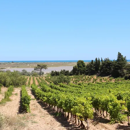 Vicente By Interhome Apartment Saint-Pierre-la-Mer (Aude)